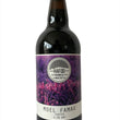 Load image into Gallery viewer, Moel Famau - Porter