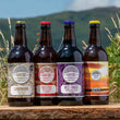 Load image into Gallery viewer, Core Beers Pack