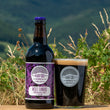 Load image into Gallery viewer, Moel Famau - Porter