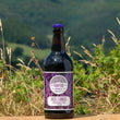 Load image into Gallery viewer, Moel Famau - Porter