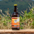 Load image into Gallery viewer, Sunrise - Pale Ale