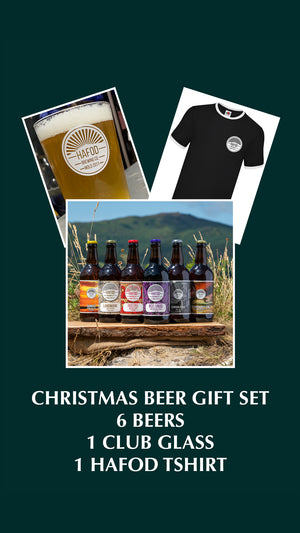 Christmas Beer Box Gift Set