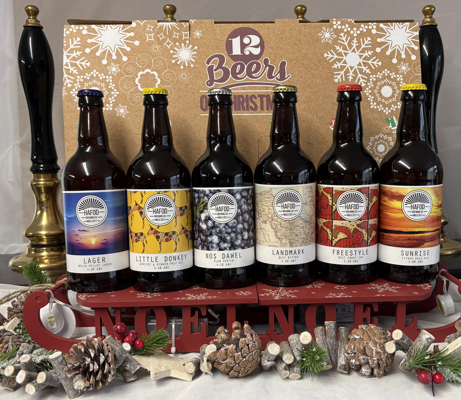 12 Beers Of Christmas Beer Box 2025