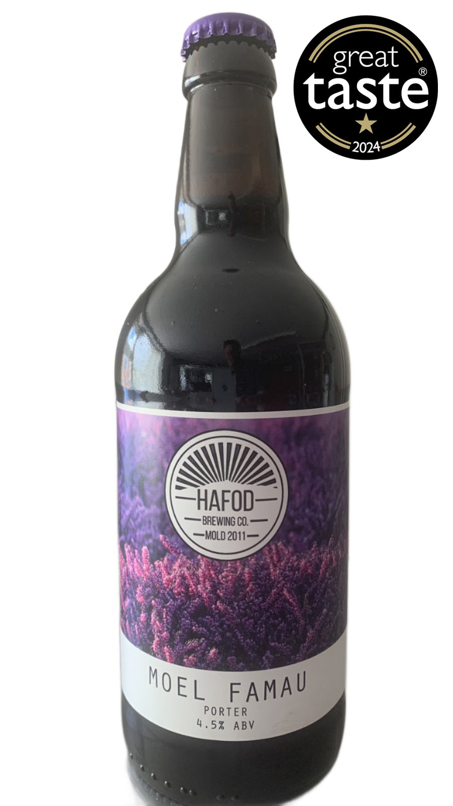 Moel Famau - Porter